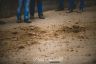 Palio Straordinario: la fotogallery delle Prove di Addestramento Mattutine